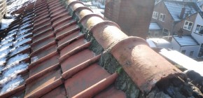 Nokpannen vervangen dordrecht